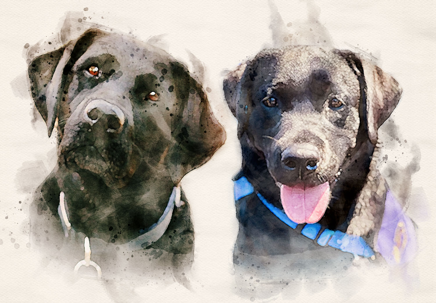 Watercolor image of the DA's comfort dogs Miranda and Carla
